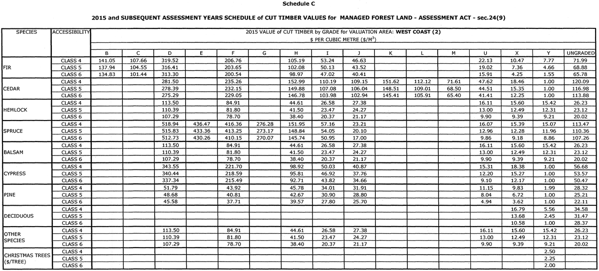Schedule C page 2