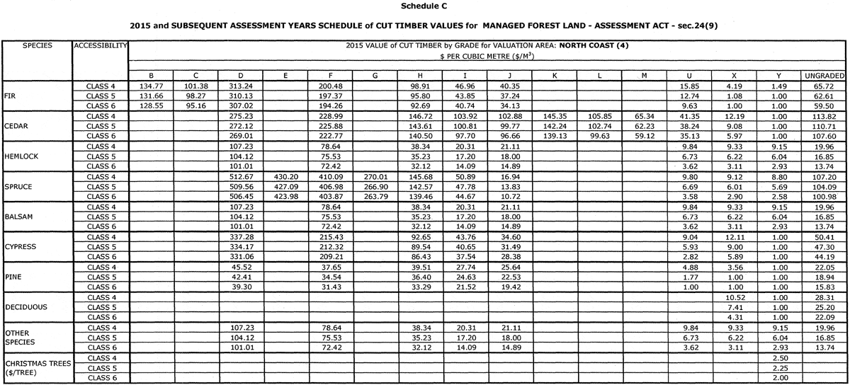 Schedule C page 4