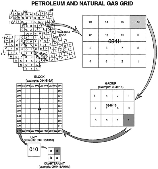 Petroleum and Natural Gas Grid